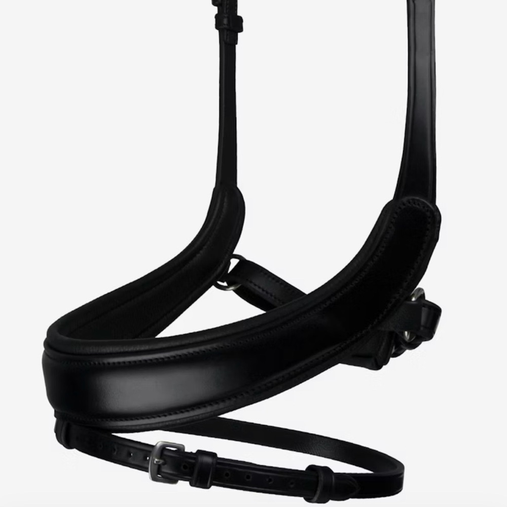 PS of Sweden Paladin noseband Cob